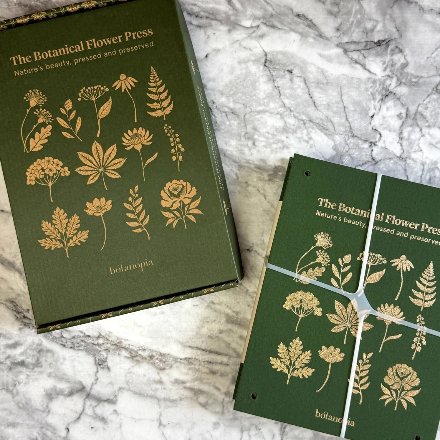 botanical flower press 13.jpeg