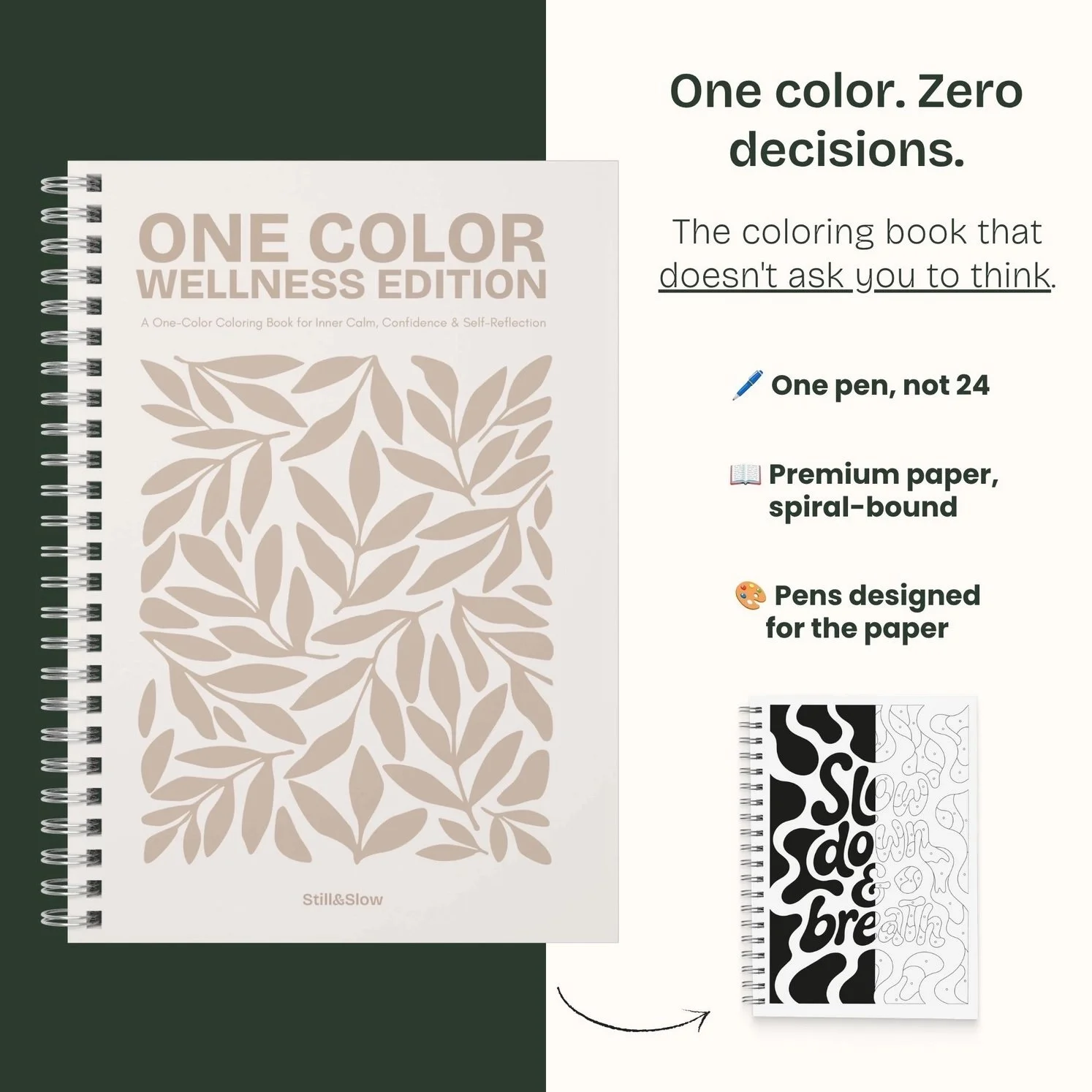 one color wellness edition 1.jpeg