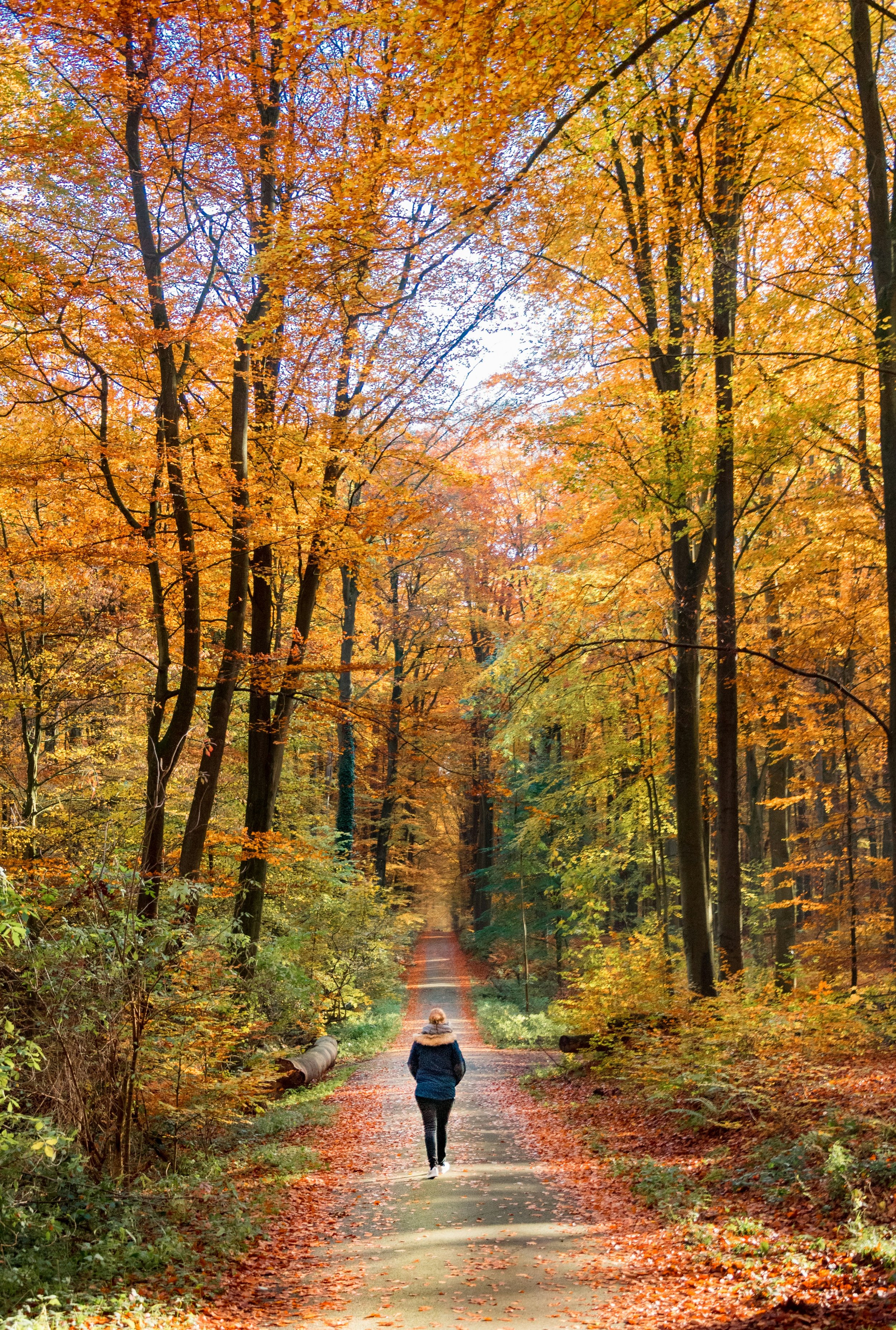 How to ease into the fall transition.