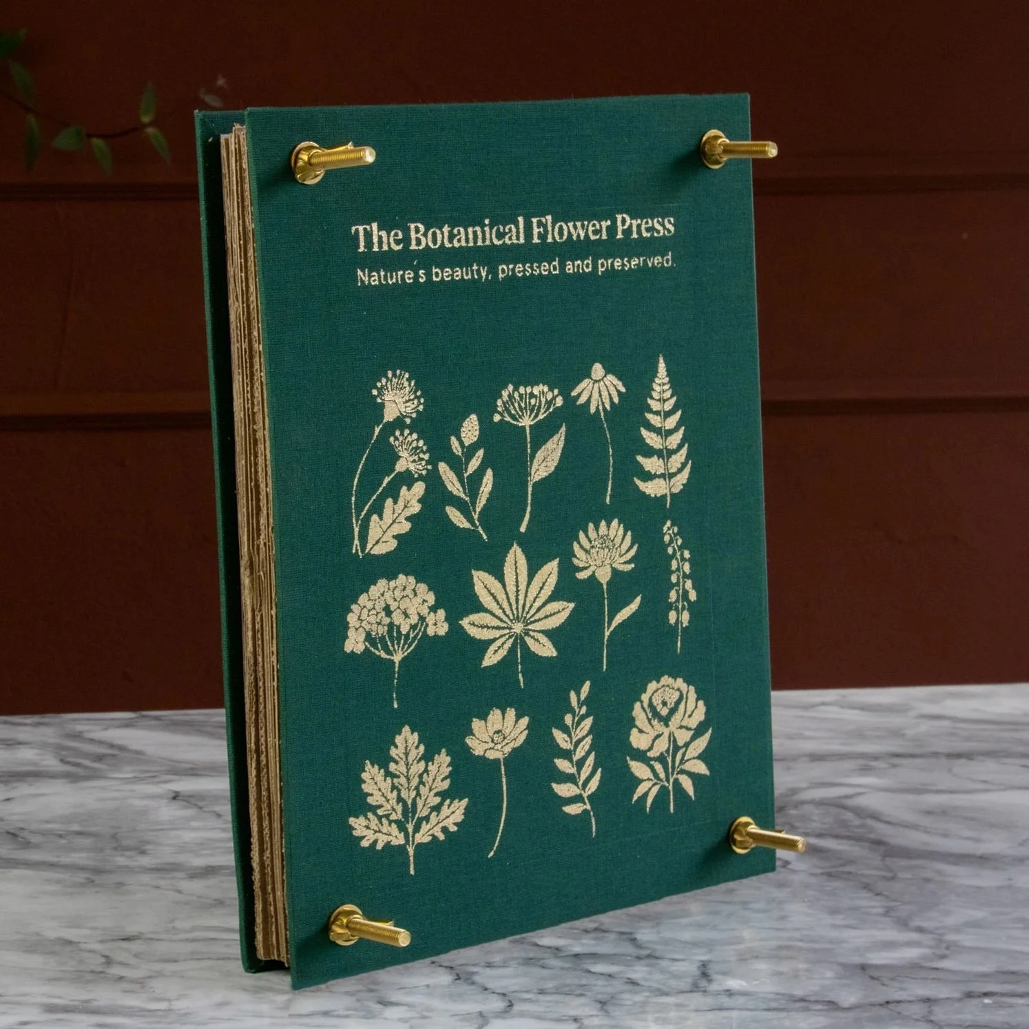 botanical flower press 4.jpeg