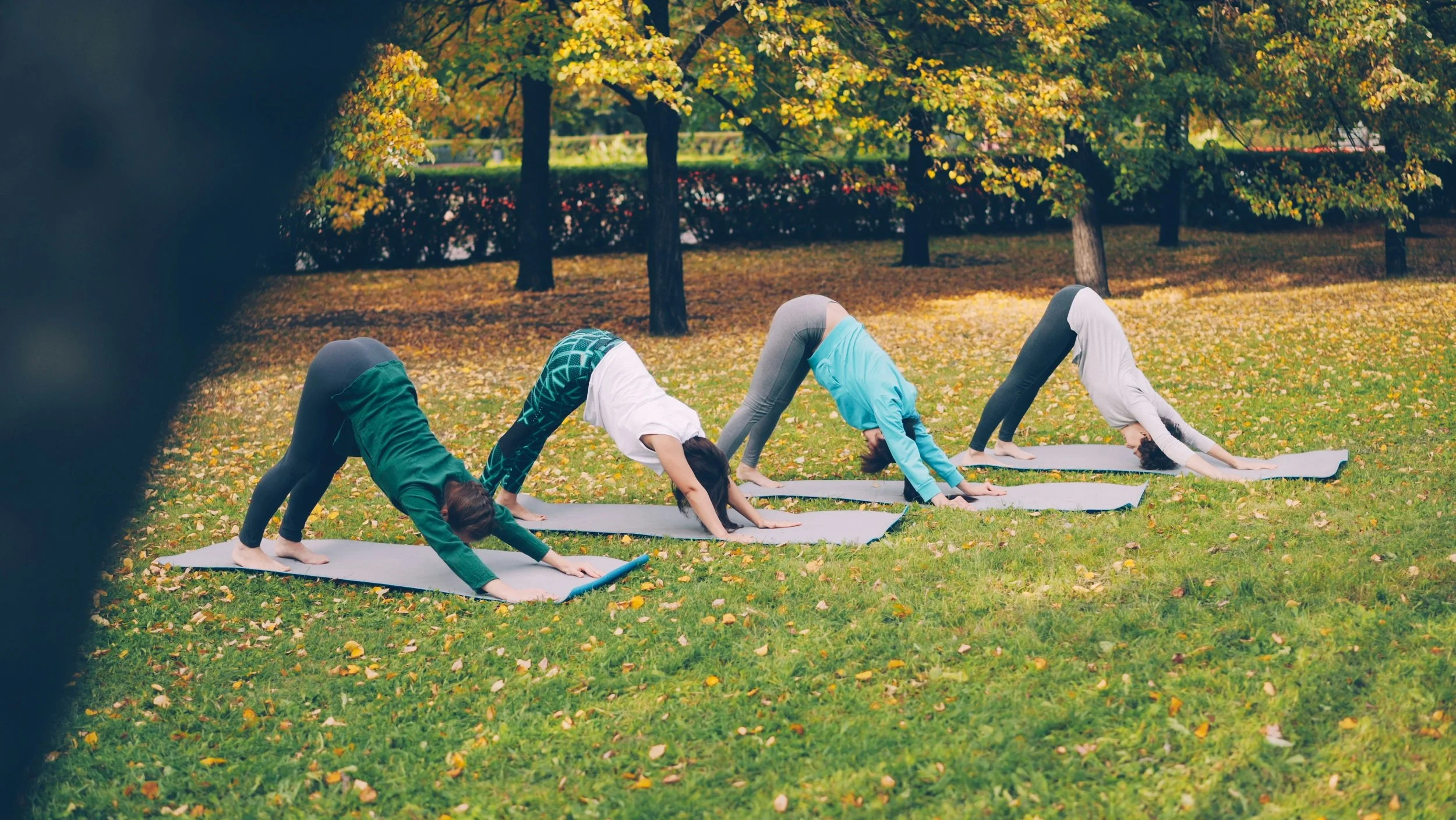 Mindful movement for cooler days.