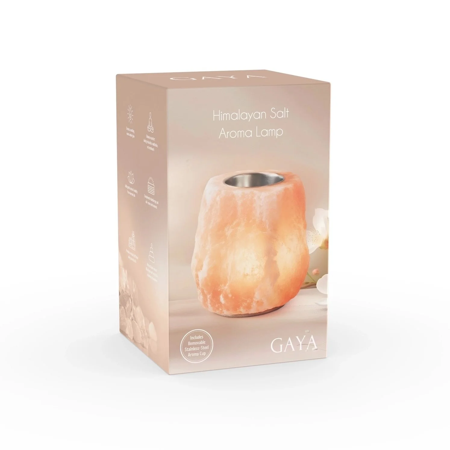 gaya salt lamp 14.jpeg