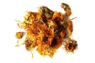 calendula 1.jpg
