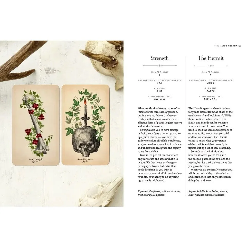 antique anatomy tarot deck 3.jpeg
