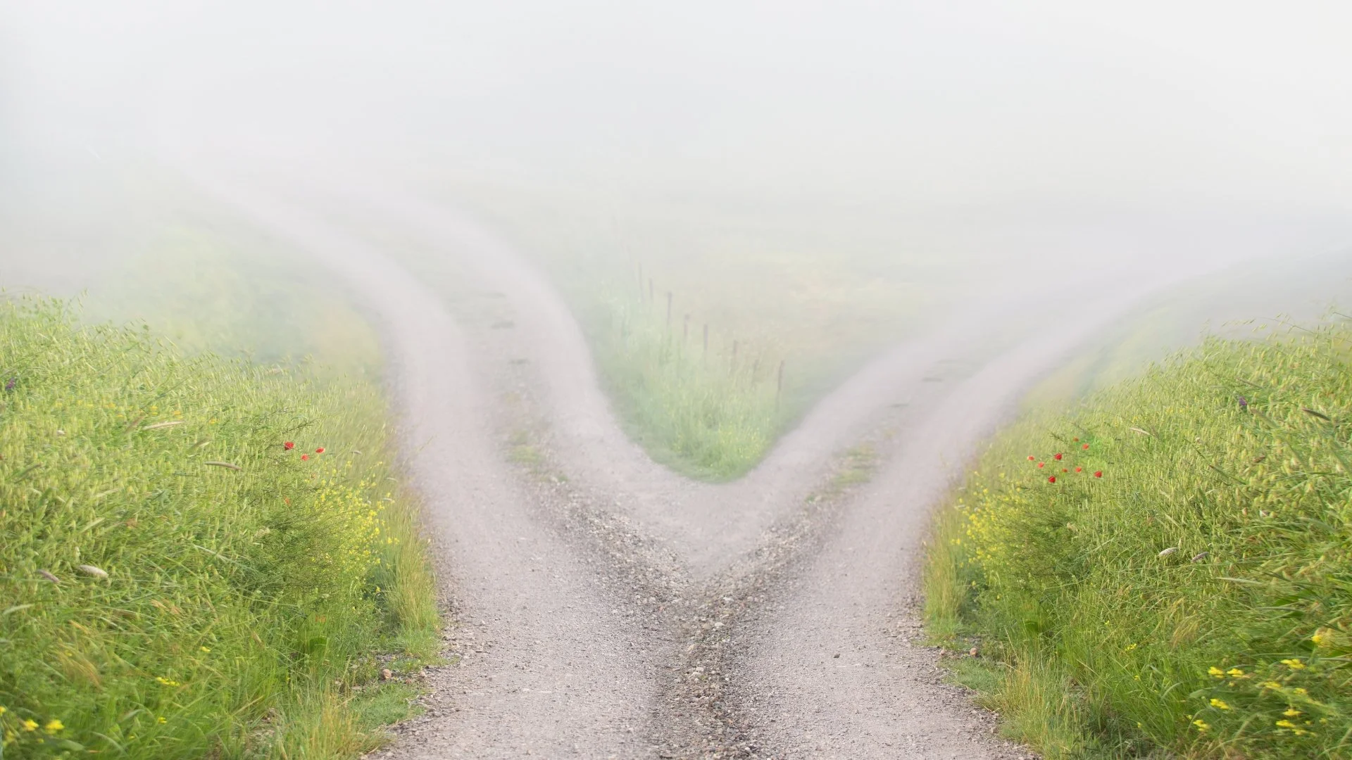 Co-Elternschaft oder parallele Elternschaft
