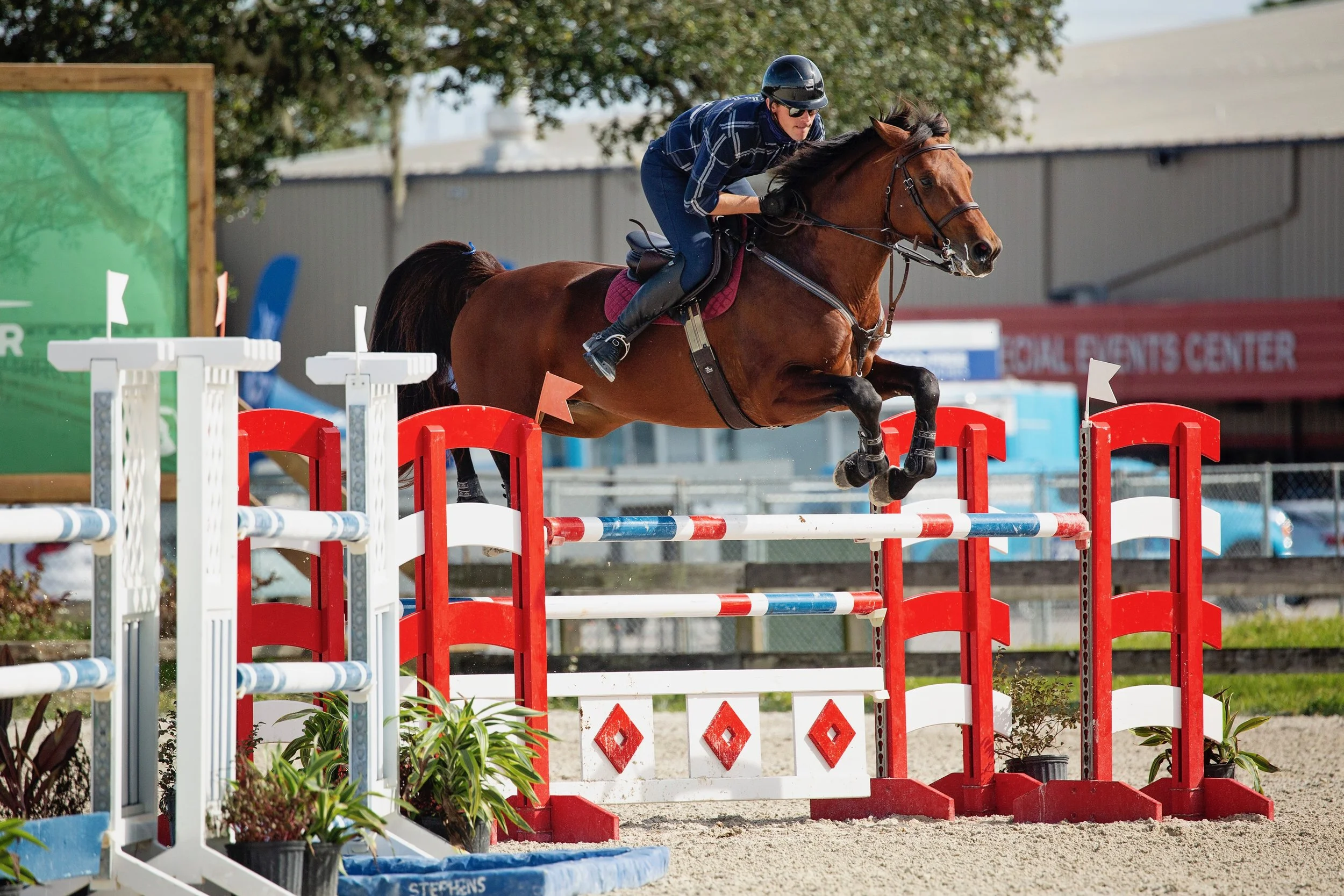 horse riding lessons fort myers