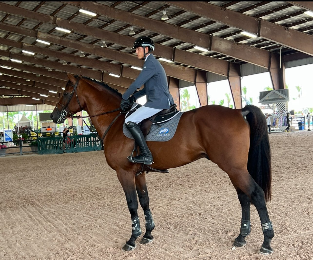 horse riding lessons