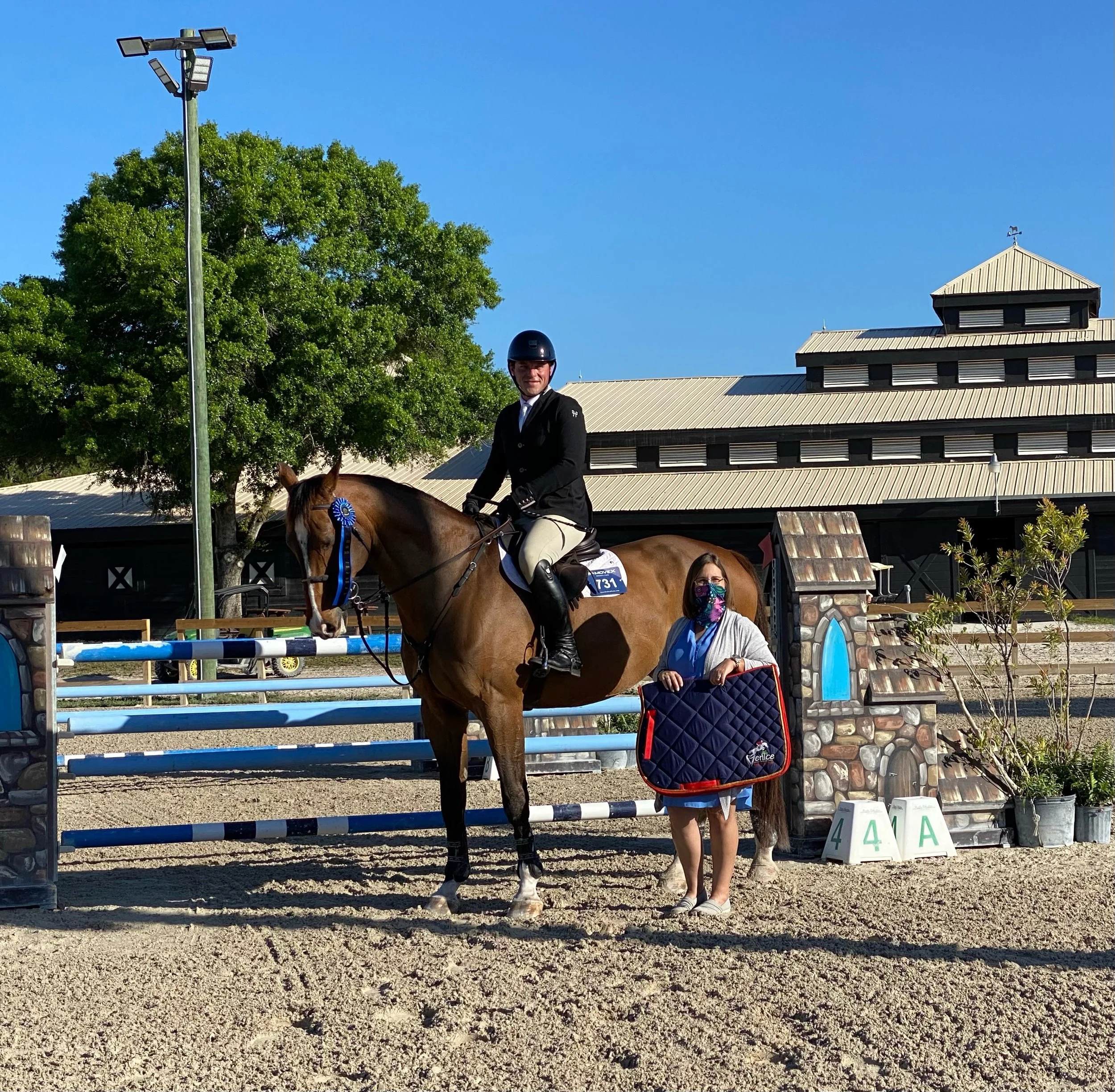 horse riding lessons 
