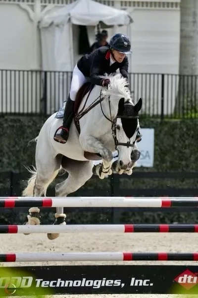 horse boarding fort myers
