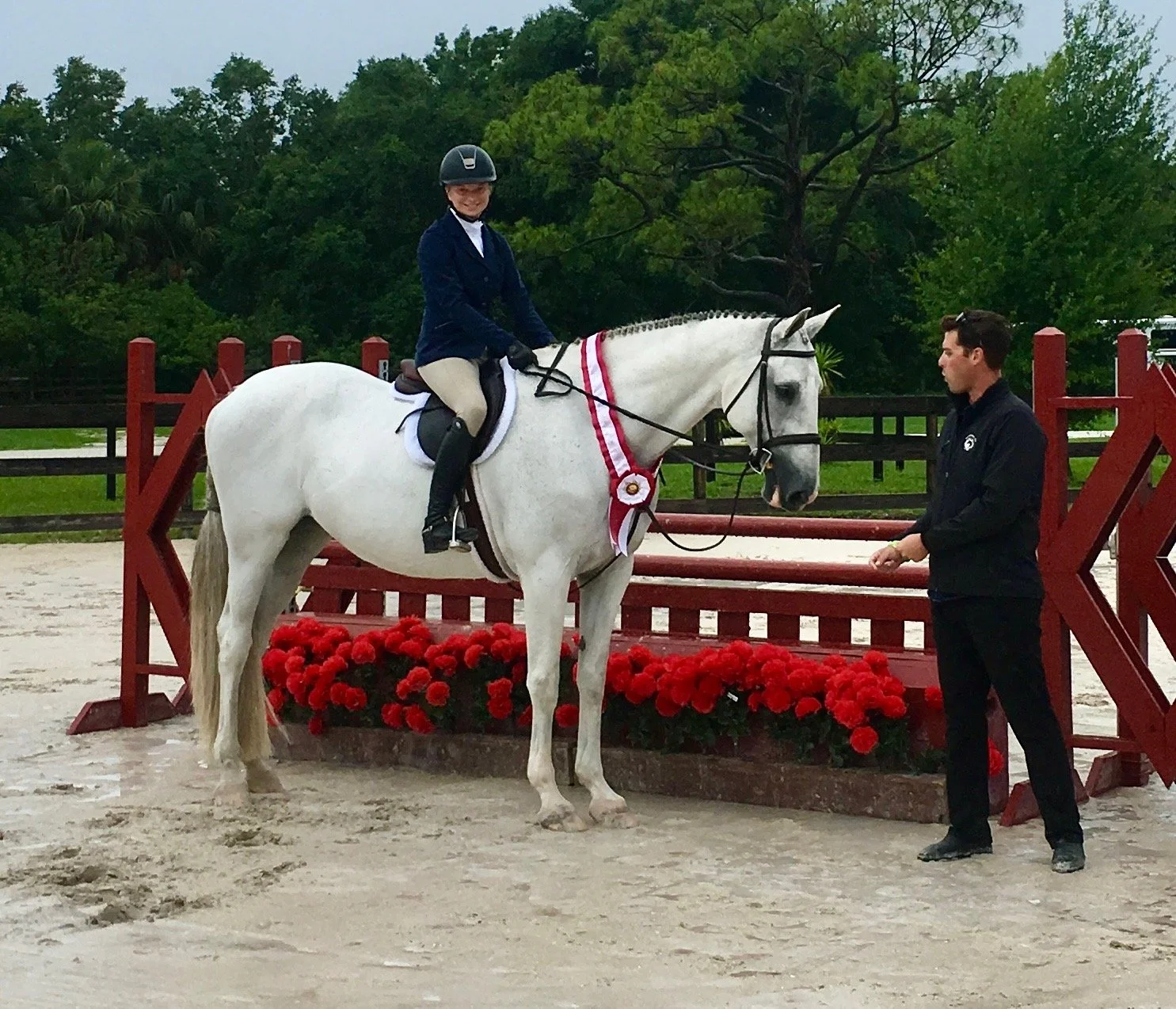 horse riding lessons 