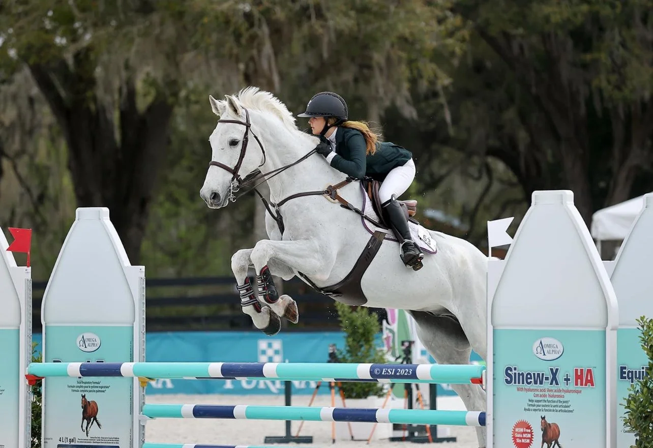 hunter jumper show barn 