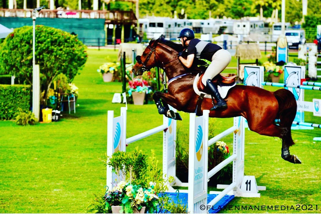 hunter jumper show barn