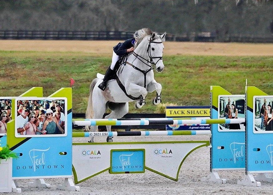 hunter jumper show barn