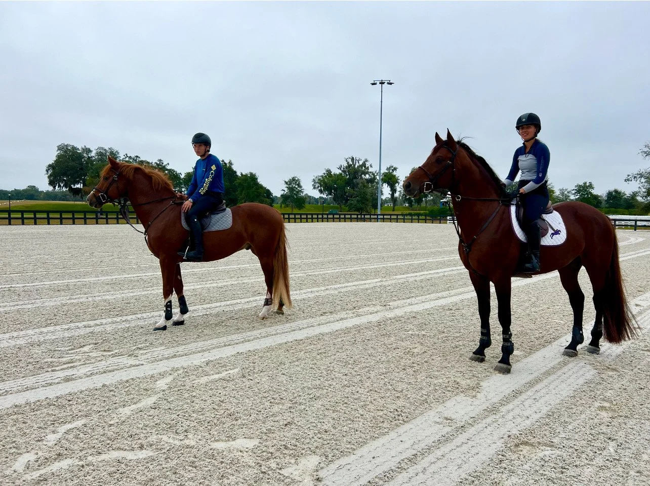 horse riding lessons 