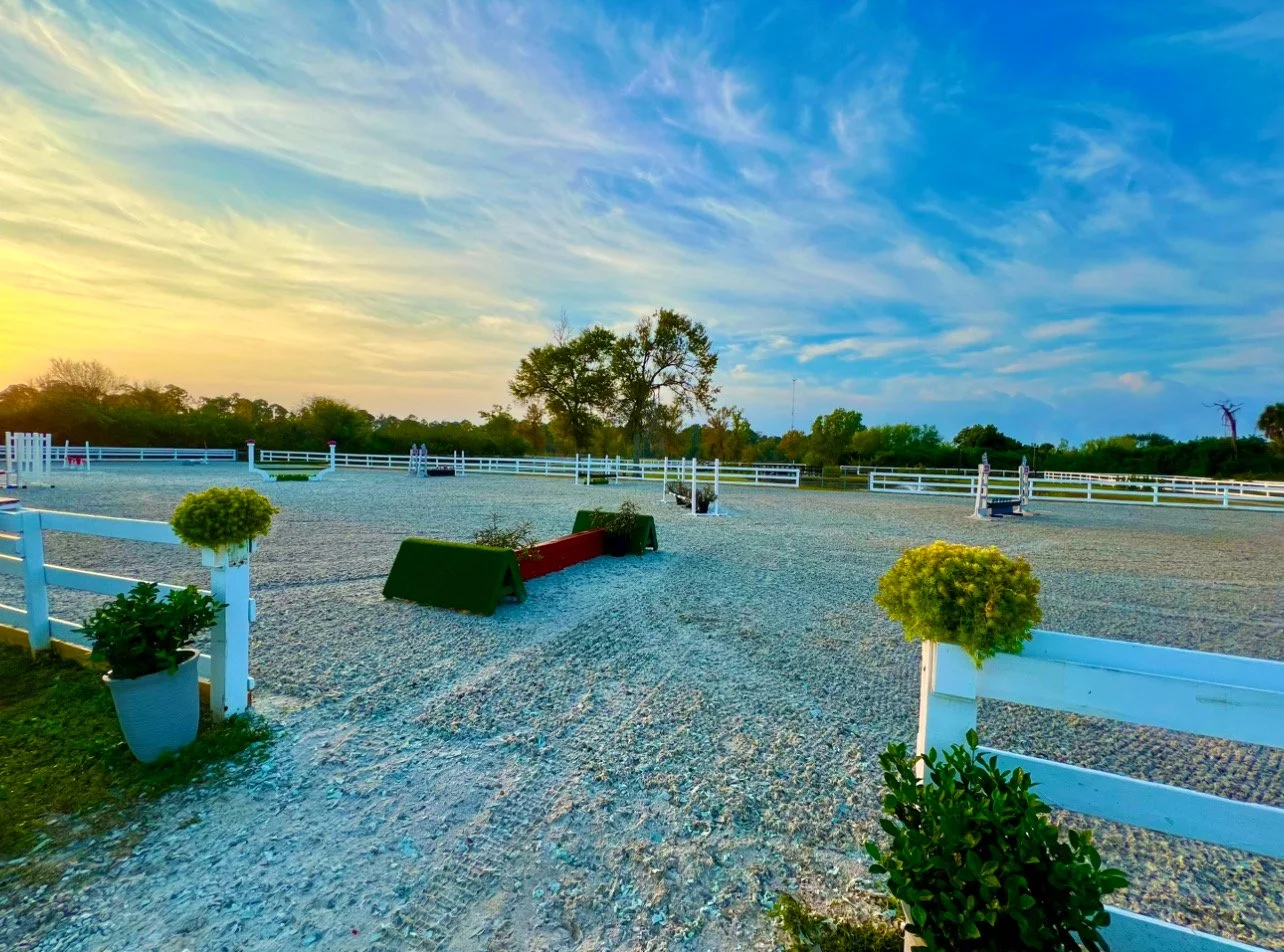 Horse boarding fort myers 