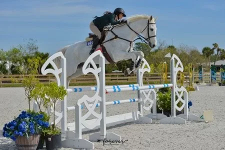 hunter jumper show barn