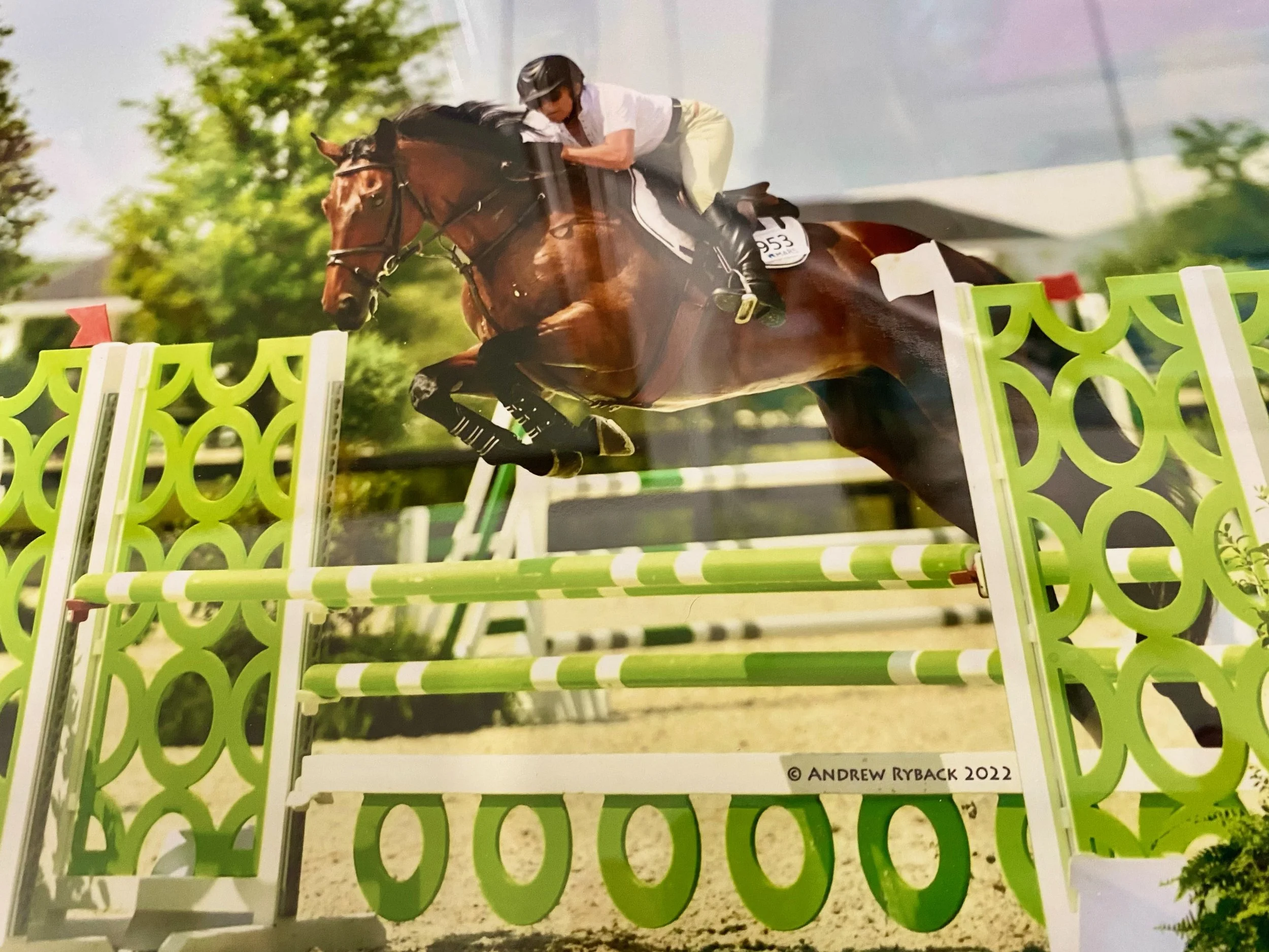 horse-riding lessons 