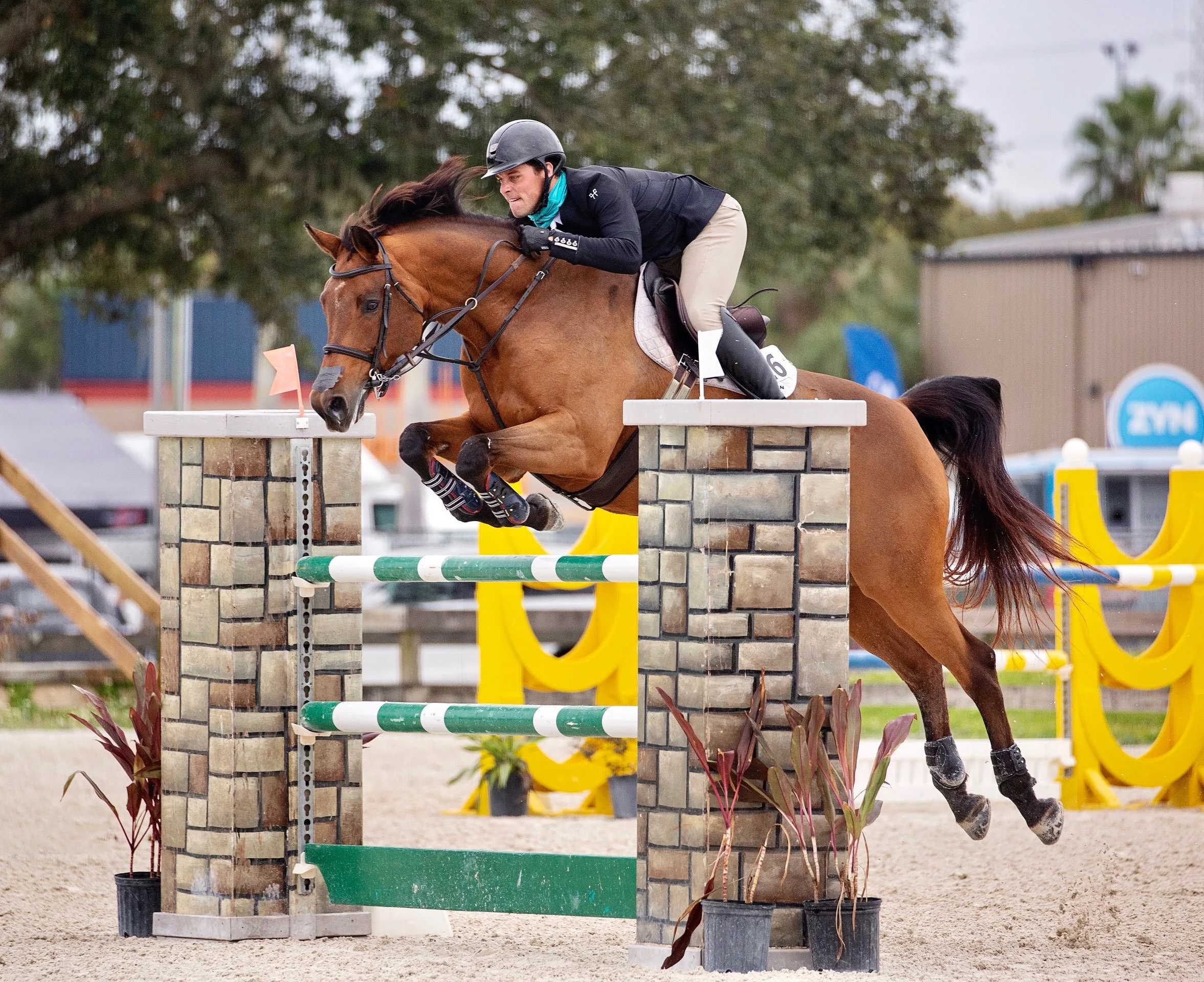 horse boarding fort myers