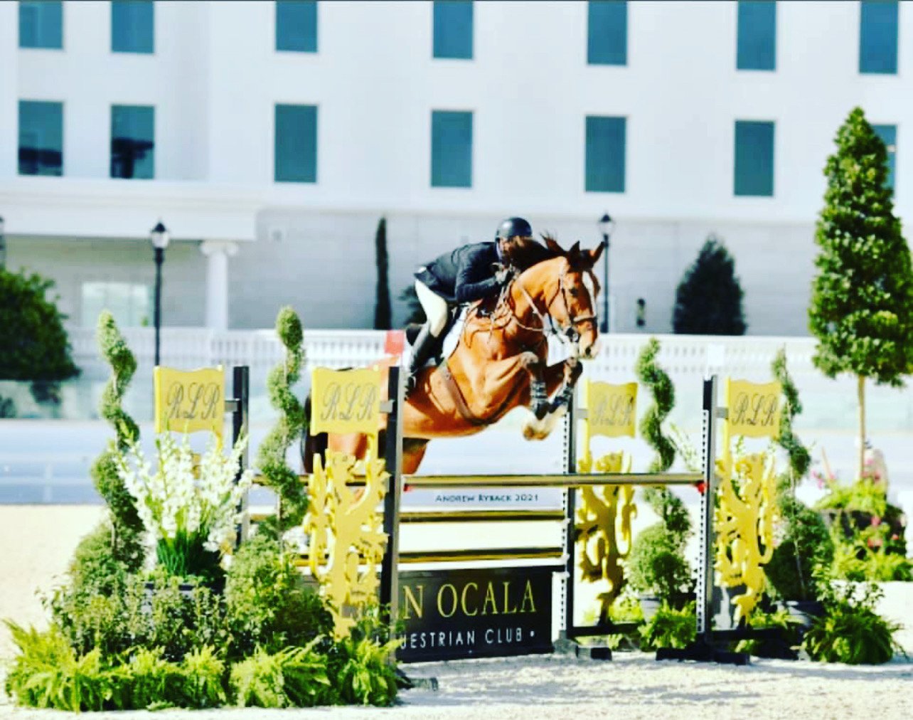 hunter jumper show barn
