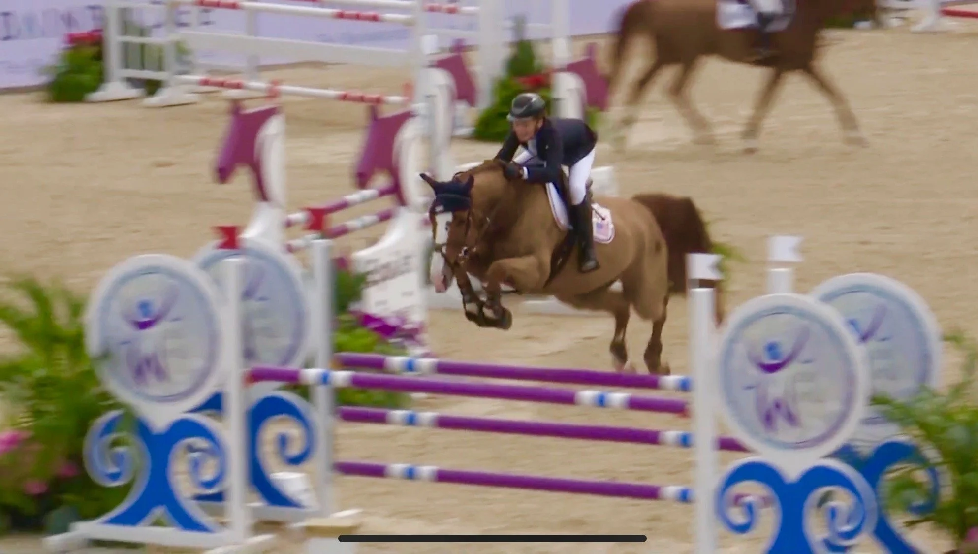 horse boarding fort myers