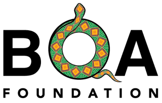 5d7e1703500eccd55fcc8385_BOA-Logo-web.png