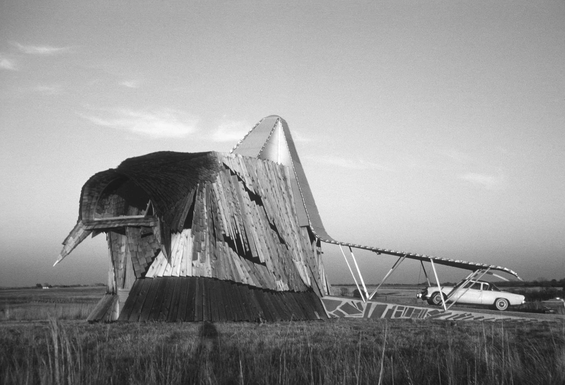 Photo © Robert Alan Bowlby 