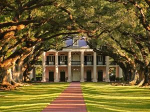 La Vie New Orleans Private Tours - Oak Alley