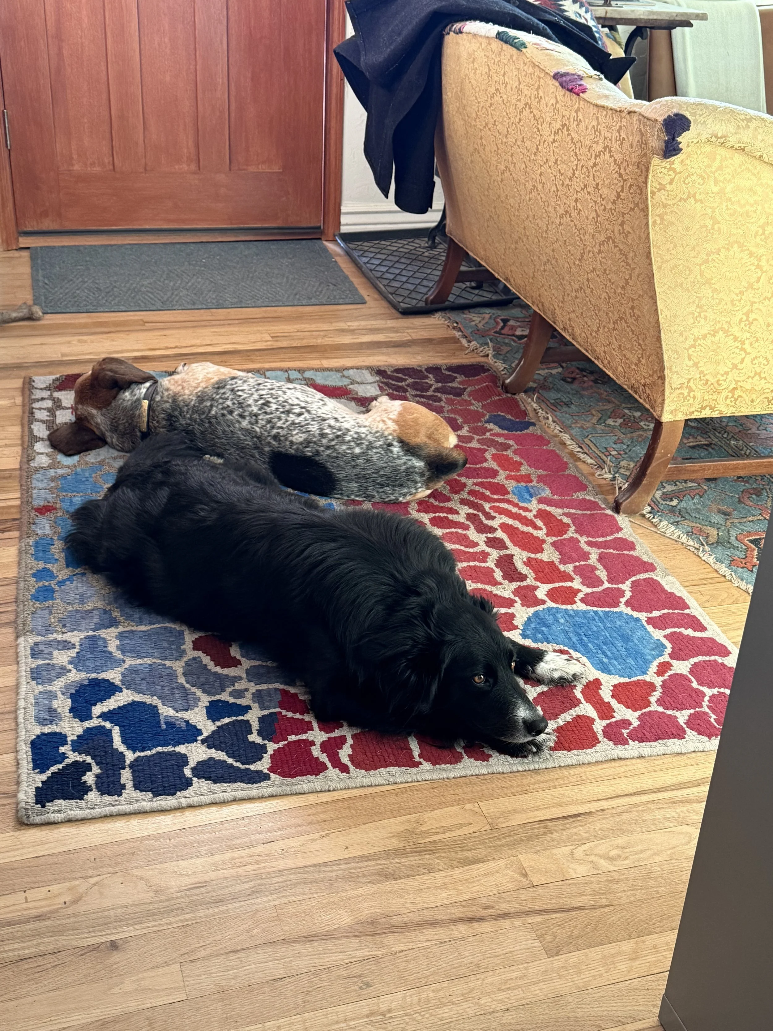 IMG_4007.jpeg