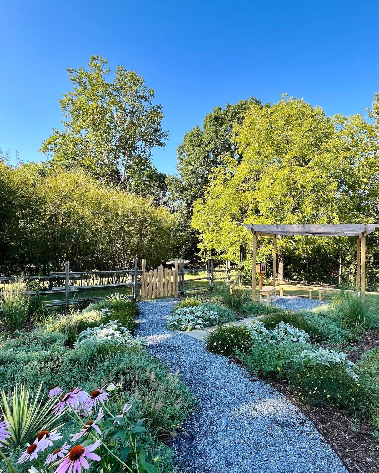 It's good to be back filling in the @campkumbayah sensory garden with late summer and fall bloomers. 🌿