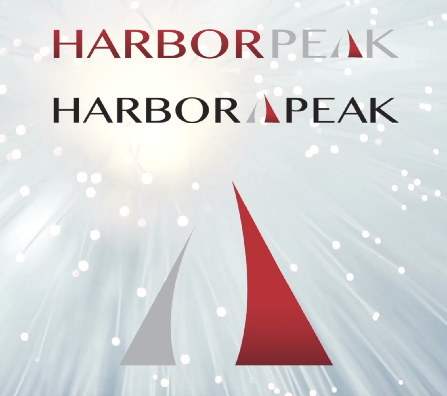 Screen Shot 2023-01-03 at 11.41.33 AM.png