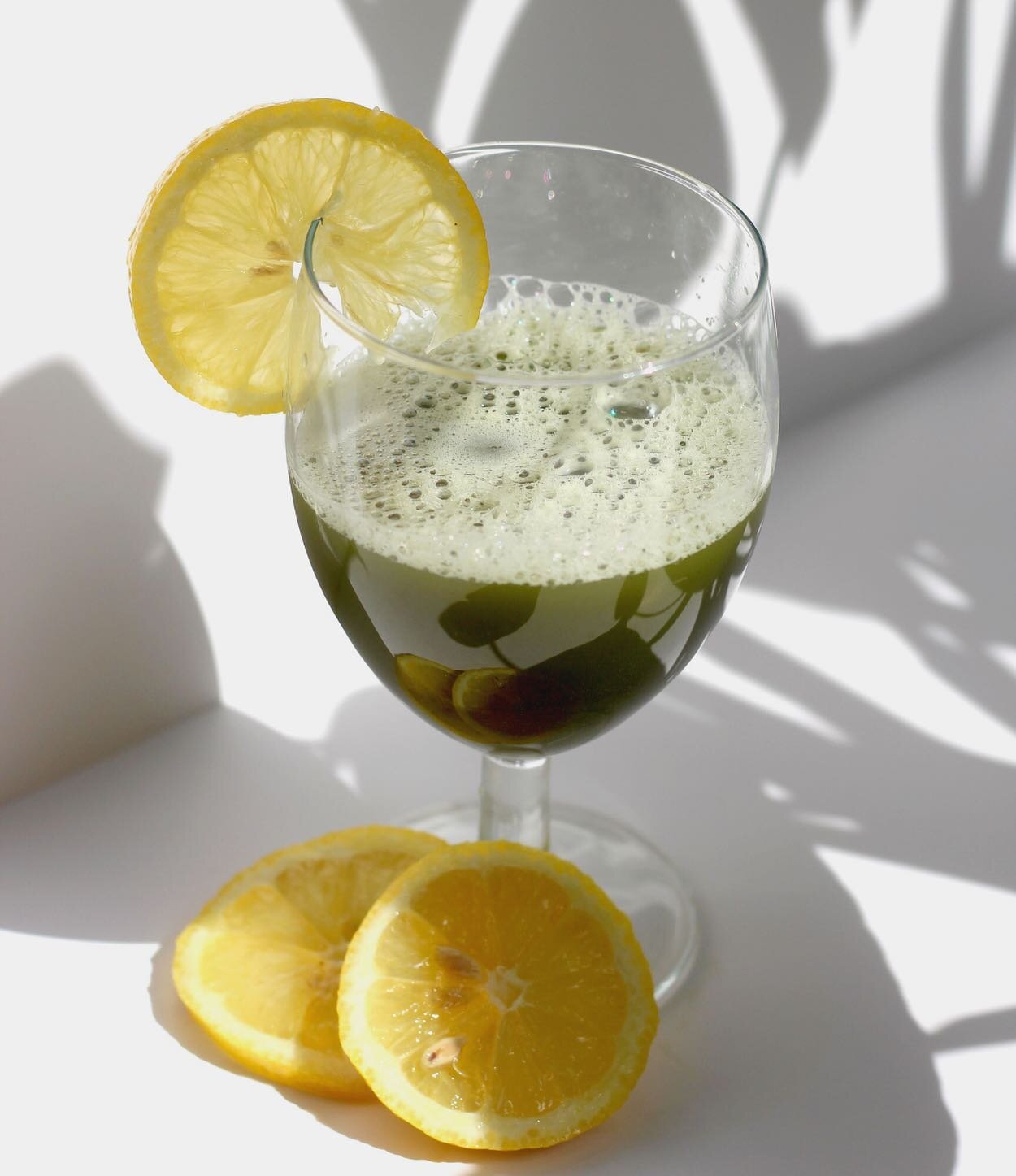 Some more product photography for y&rsquo;all! This is my matcha lemonade photo + recipe for @wholydose! 🍋