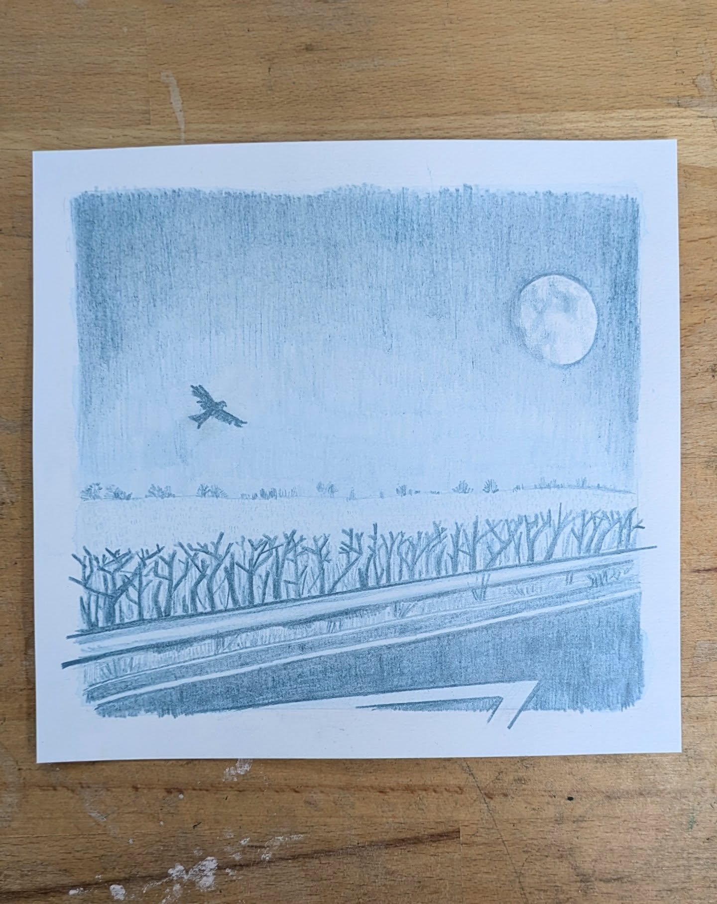 It was around Xmas time and we were on the motorway early in the morning. There was a huge not quite full moon in the blue sky and a bird of prey hovered over the empty fields that lay exposed from the road by the cut back hedge. Not sure why but it 