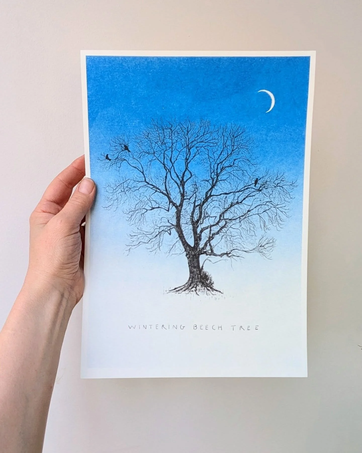 This may be my favourite (if that is allowed of my own work!?) Wintering Beech Tree, riso print on sustainable paper, available in my Etsy shop. Take a look! Take a look! 💙🌙🪾

#beechtree #winteringtrees #natureartist #chrissyhazelholmes #affordabl