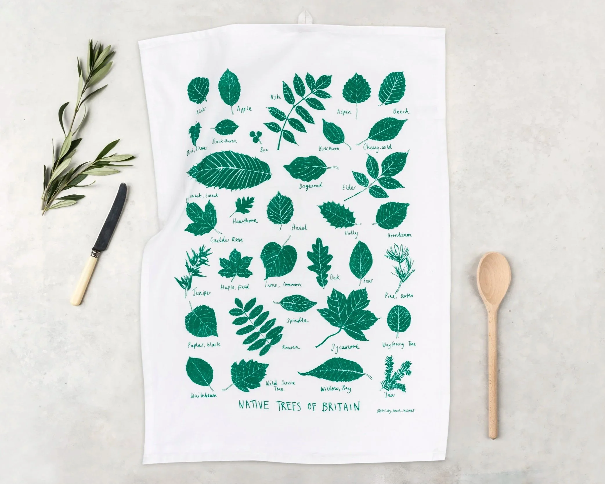 Illustration of native trees of Britain on a white cloth with handwritten labels, surrounded by a sprig of olive leaves, a small knife, a wooden spoon, and a sprig of pine.