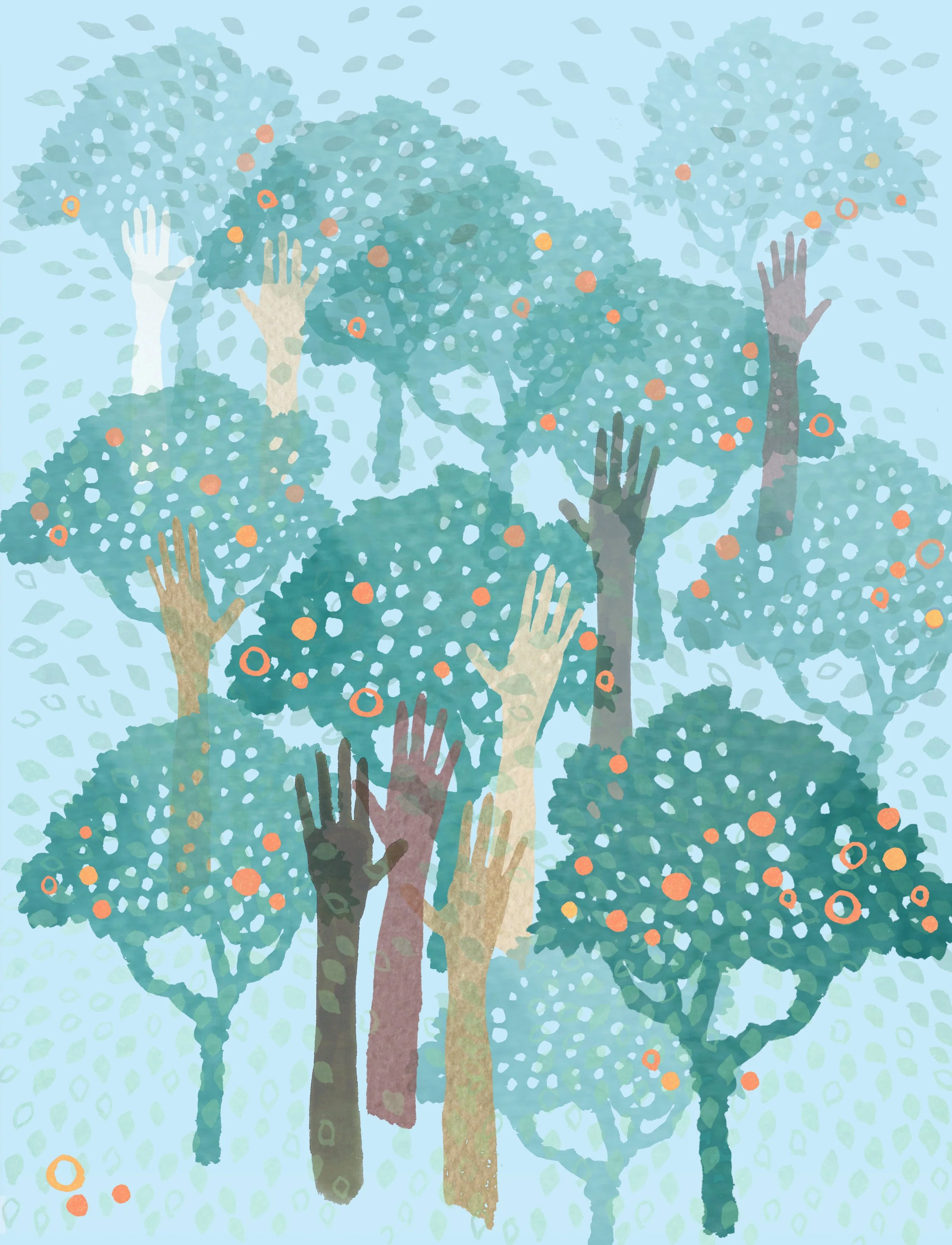 Orange Grove