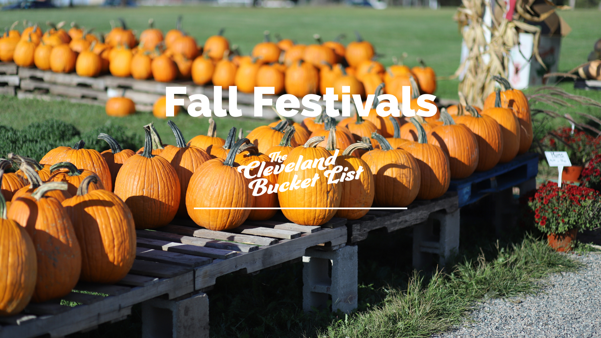 Fall Festivals and Events