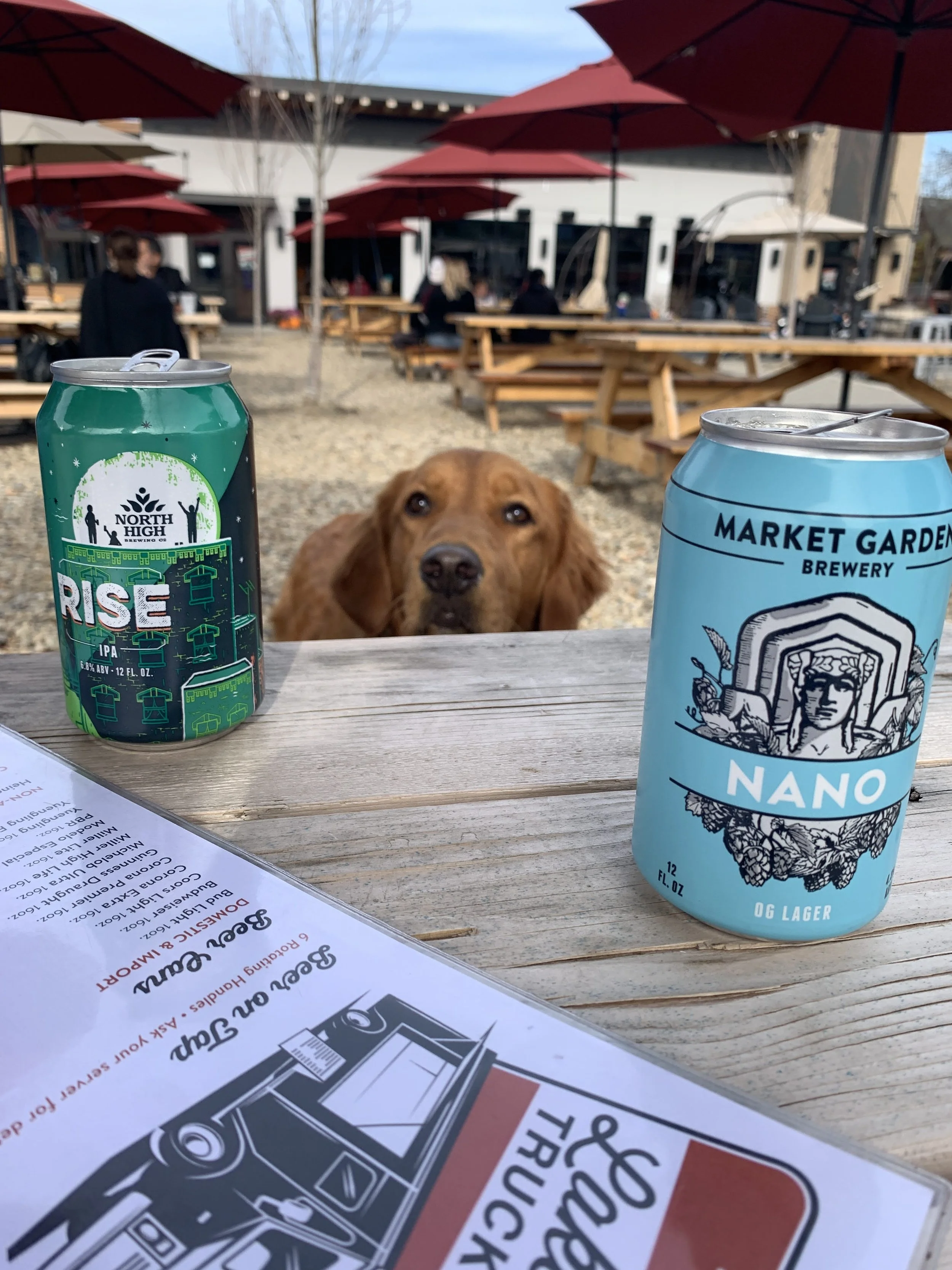 Igloos and Heated Patio Seating in Cleveland