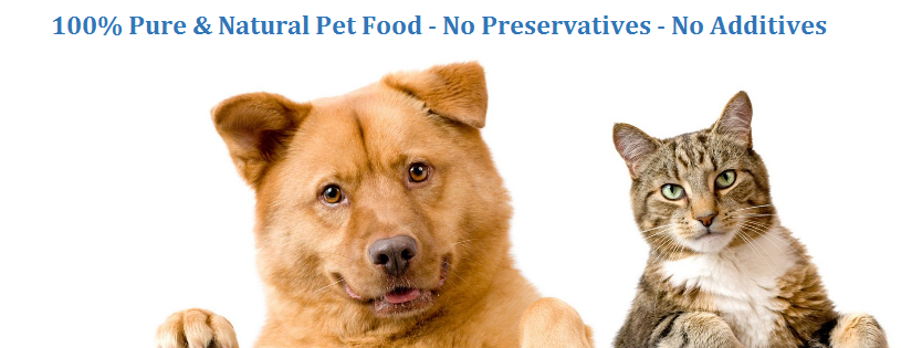 About Cats and Dogs | Raw Food