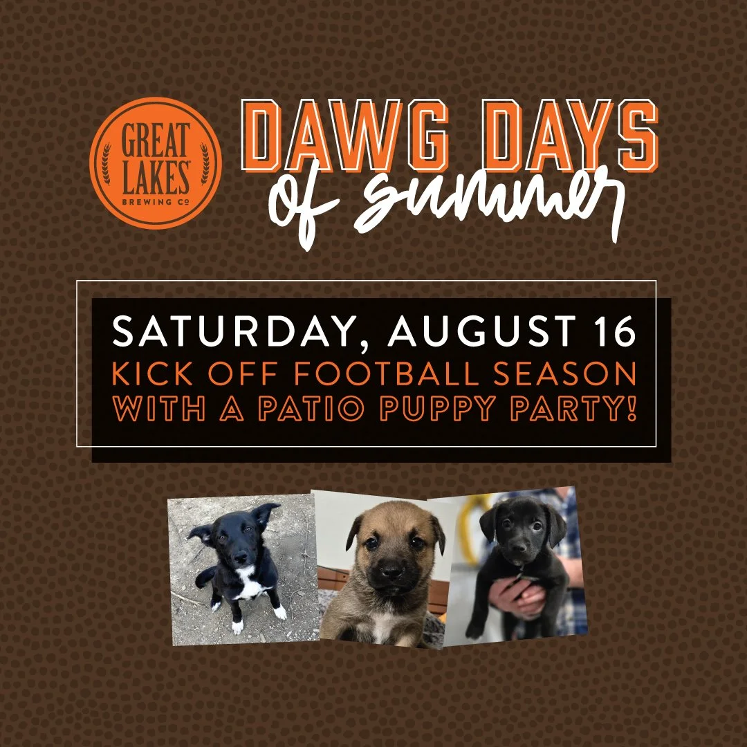 Dawg Days of Summer