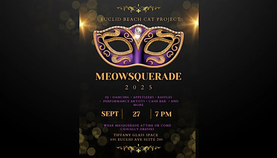 Euclid Beach Cat Project Meowsquerade