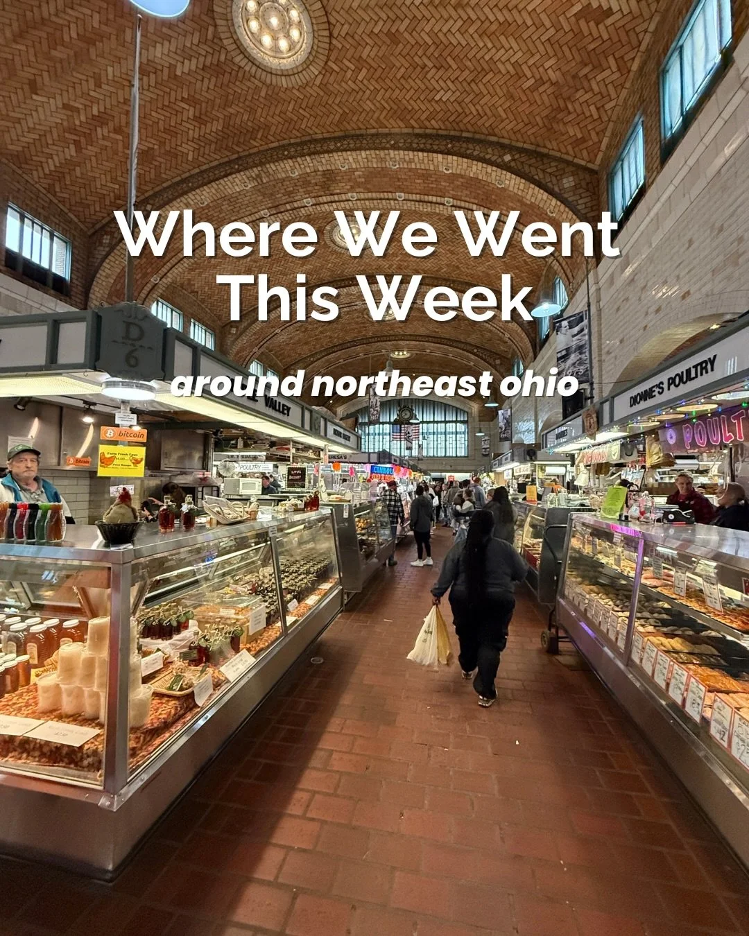 Rounded up where Lizzie and I went this week around northeast Ohio ✨

1. @valleyvillacustard - beautiful weather calls for ice cream.
2. @betterbargainsoutlet - stocking up for summer hosting season with some excellent deals.
3. @goodkindcoffee - try