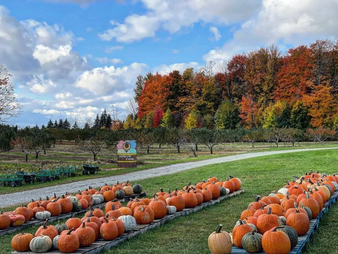 Hornyak Farms - Family Fall Event