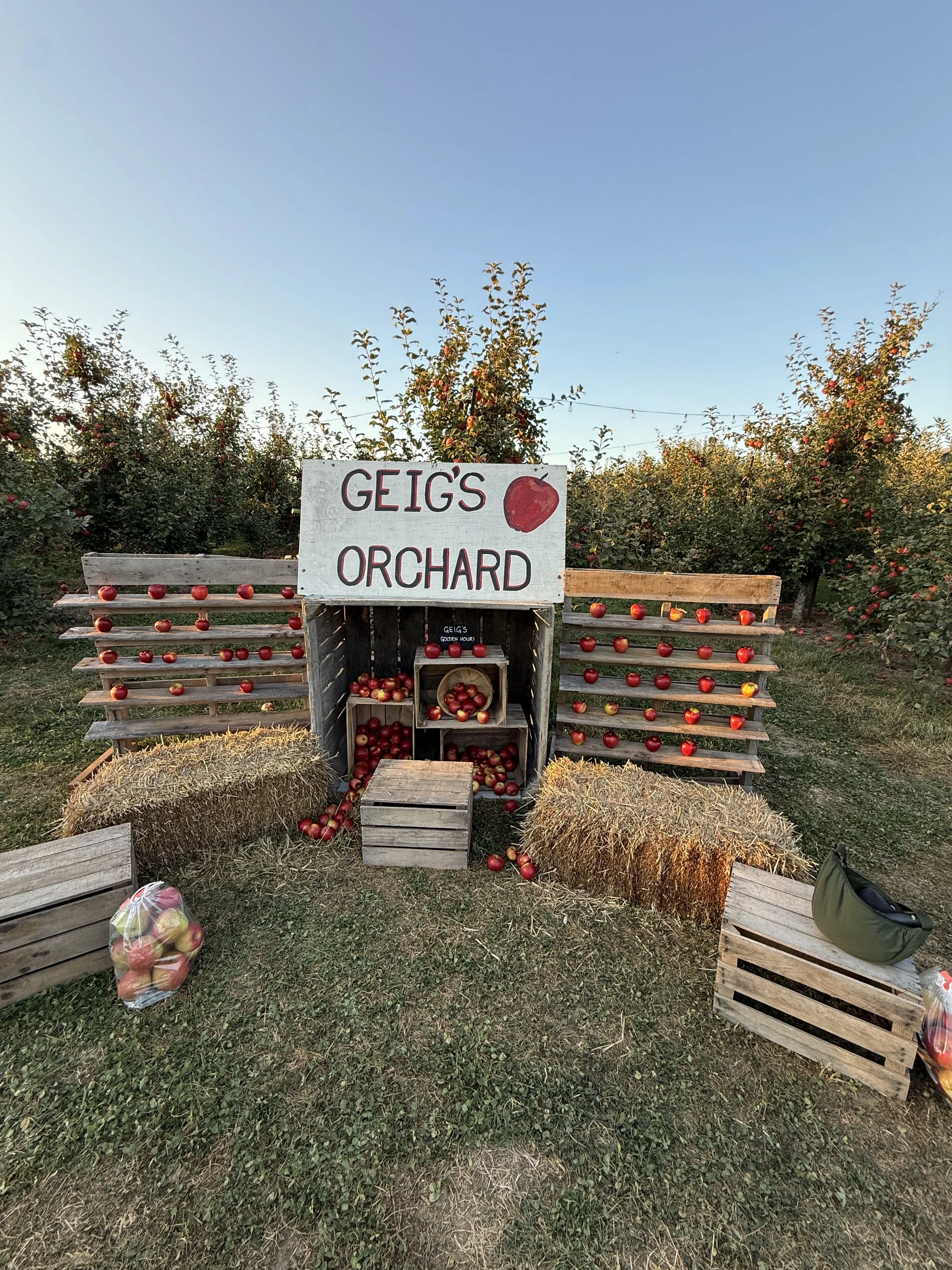 Geig's Honeycrisp Golden Hour Sip & Pick