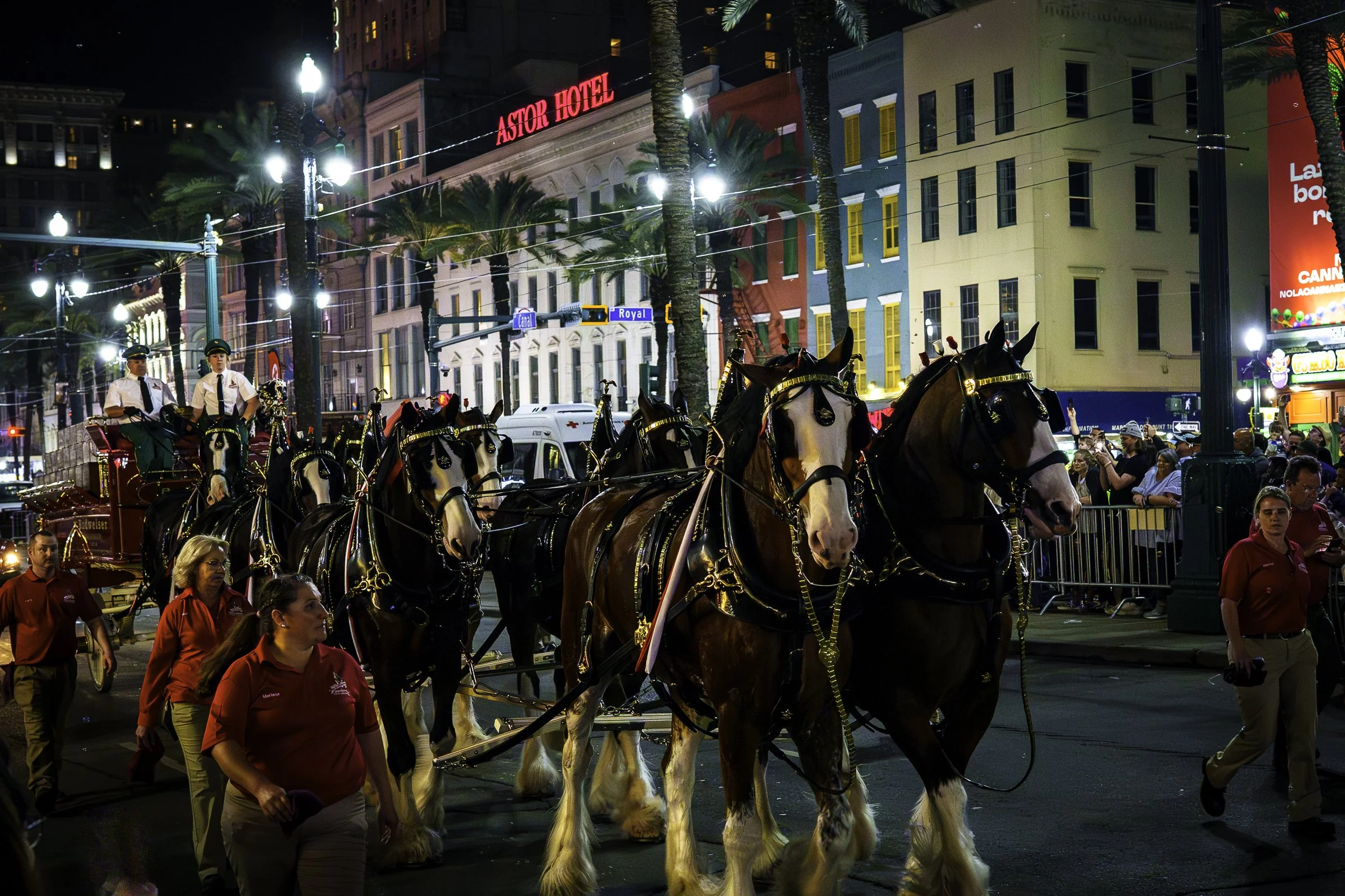 CEMBRE NOLA 2026-426.jpg