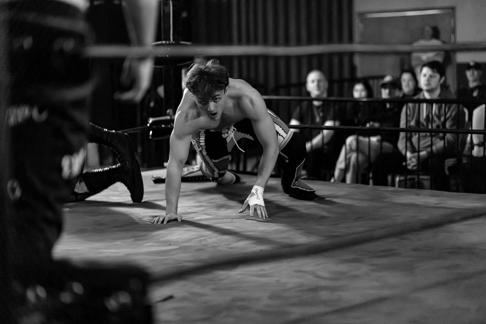Pro Wrestling Debut 3.9.2024-1384-Enhanced-NR.jpg
