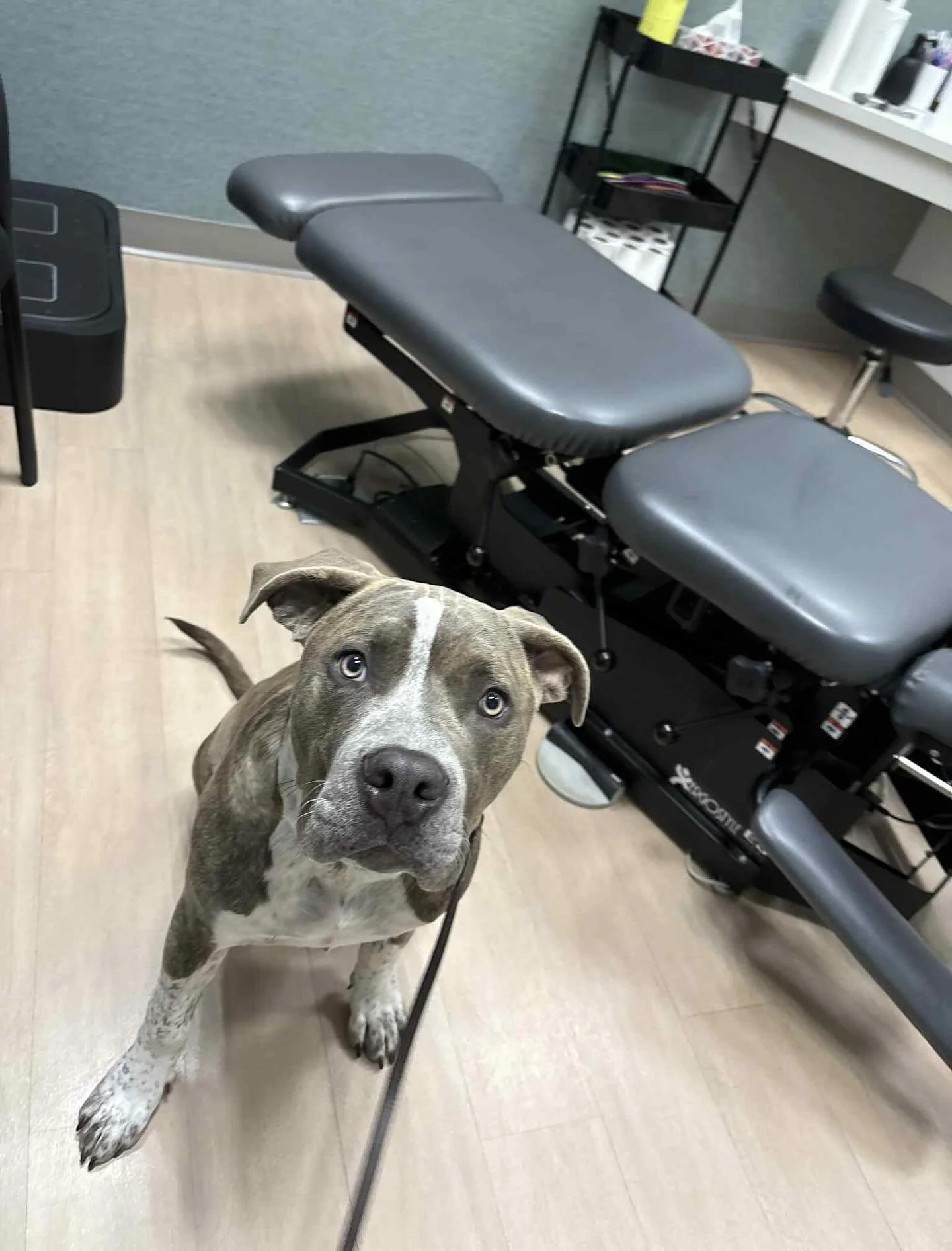 We hope everyone enjoys the weekend as much as Floyd enjoyed all the ear scratches and love today!