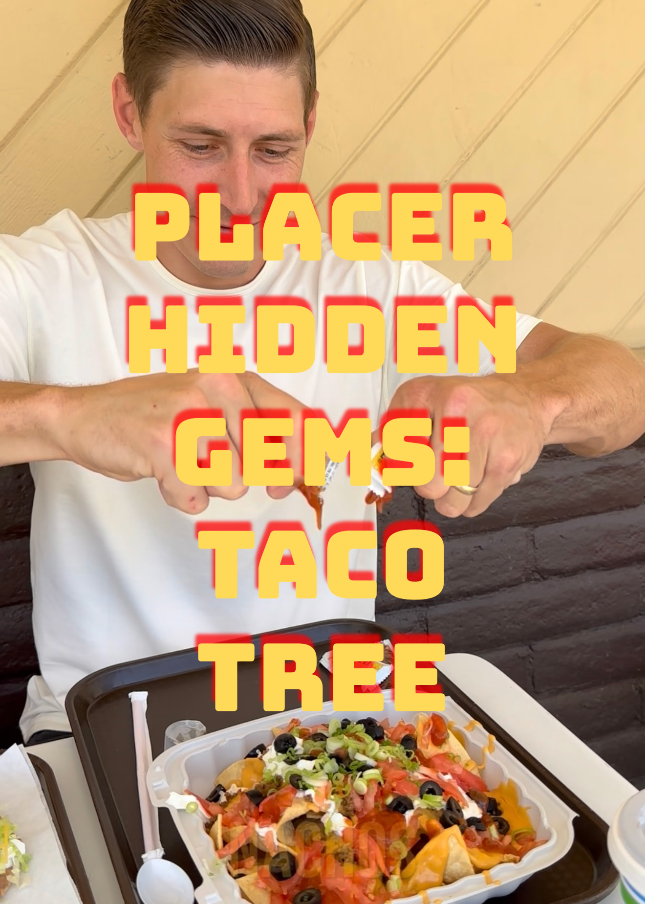 Taco Tree