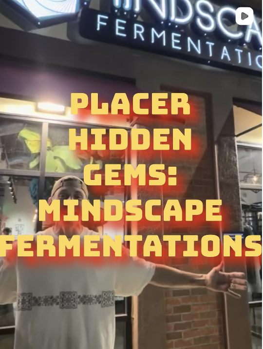 Mindscape Fermentations
