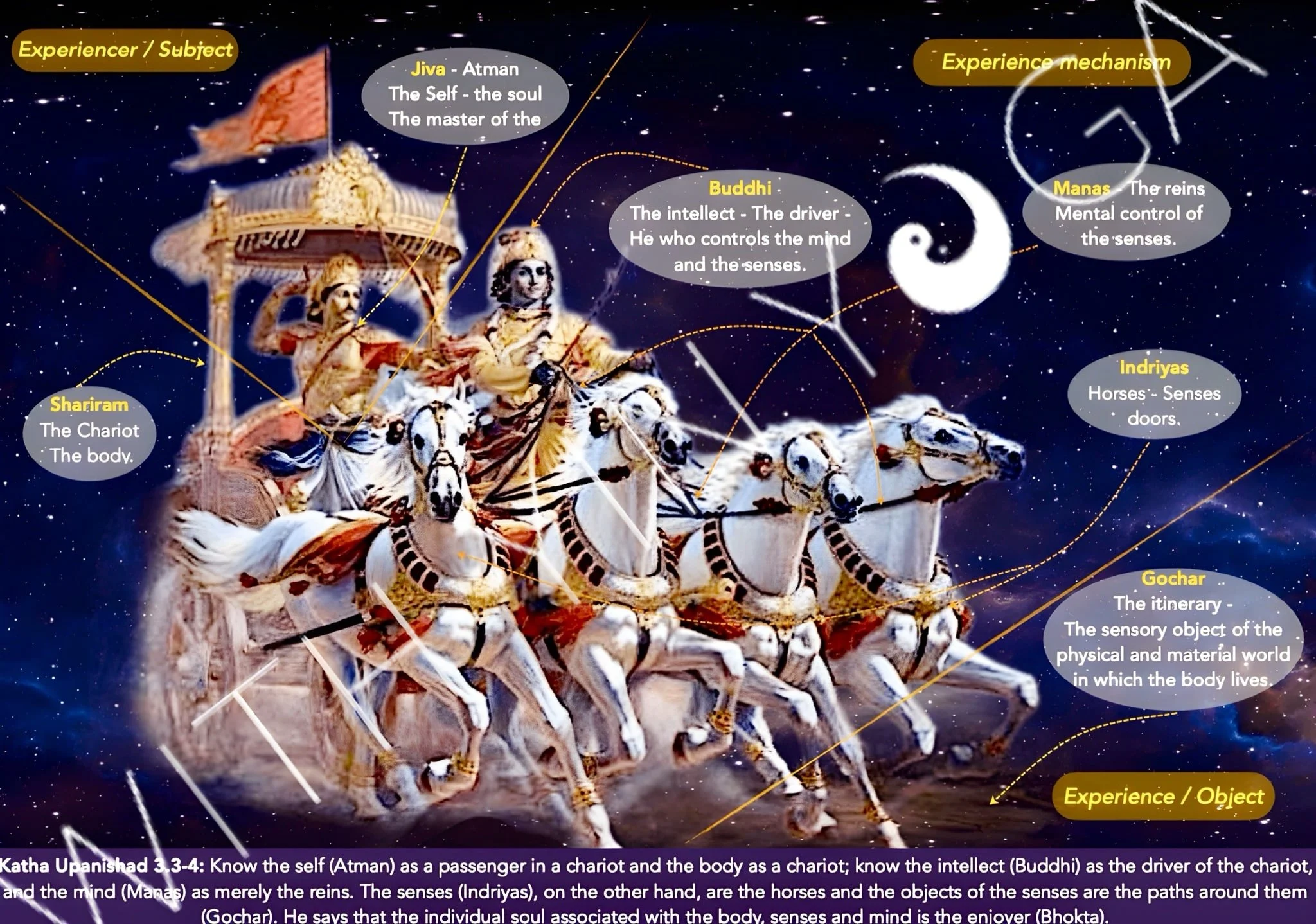 Yin Yoga and Philosophy.JPG