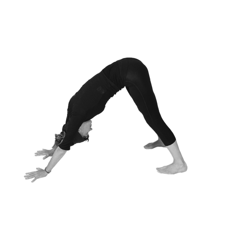 The Dog Pose